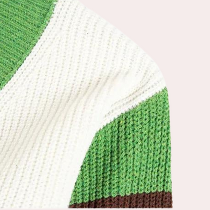 Damianos - Trendy gebreid vest met kleurblok voor heren