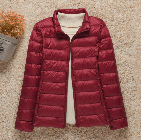 Compacte Waterdichte Ultralichte Jas